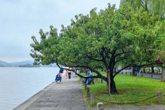 中超争冠风云：非传统豪门崛起，年轻球员战术革新引领风骚